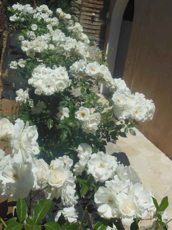 Bed and Breakfast Aloasis Grimaud Exterior foto