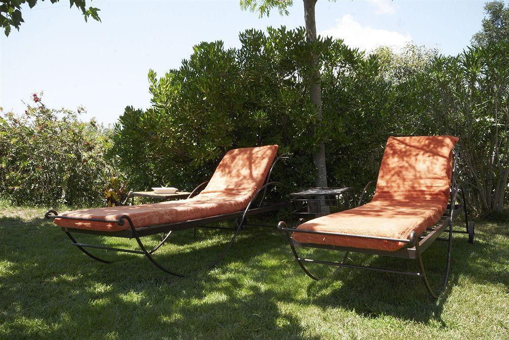 Bed and Breakfast Aloasis Grimaud Exterior foto